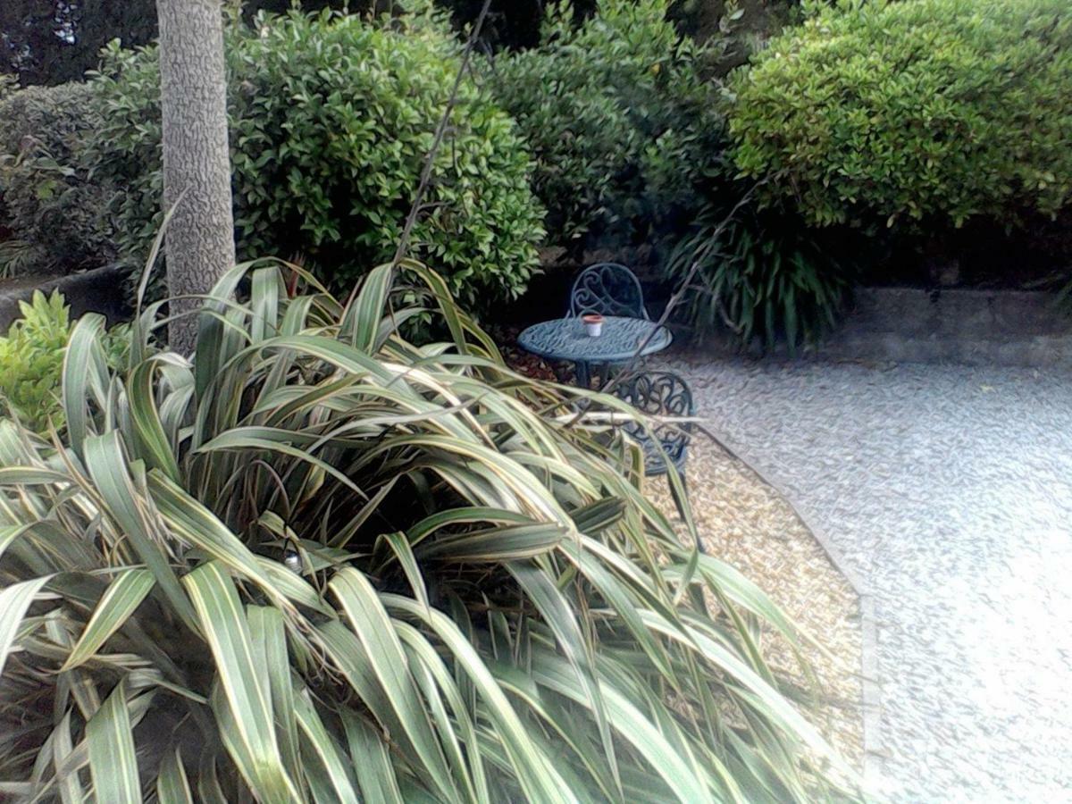 Baytree B&B Charlestown  Esterno foto