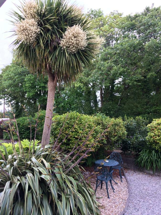 Baytree B&B Charlestown  Esterno foto